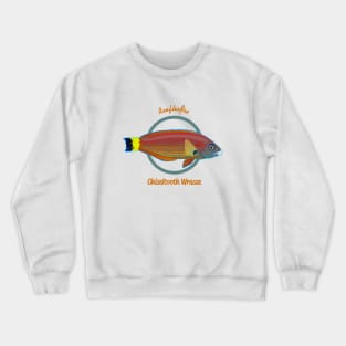 Chiseltooth Wrasse Crewneck Sweatshirt